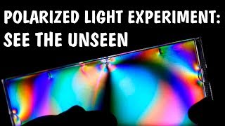 Wonderful experiment with polarized light [upl. by Jannery529]