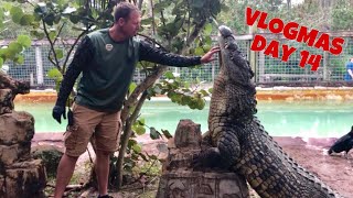 Crocodile E Harmony VLOGMAS Day 14 [upl. by Ellehcit424]