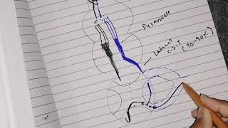 Corticospinal tracts  Desecending tracts Urdu Hindi 2020 neuroanatomy [upl. by Merari]