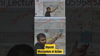 Digoxin Mechanism of action How digoxin Work  Cardiac Glycosides [upl. by Tennes]