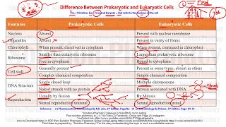 Microbiology 08 Difference Between Prokaryotic and Eukaryotic Cell  Prokaryotes amp Eukaryotes [upl. by Tayler243]