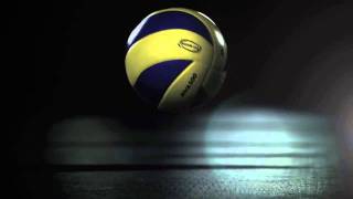 FIVB Heroes  2011 World League Finals [upl. by Yelrah905]