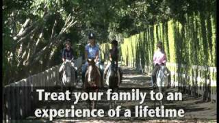 Palm Beach Riding Academy at the International Equestrian Center [upl. by Sadowski]