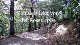 Zauberblicke von der Rosstrappe I Harz [upl. by Mini]