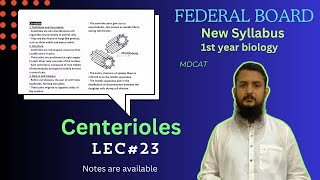 Centerioles  Centerioles structure and function  class 11 [upl. by Vasili]