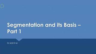 Segmentation Meaning Importance and Basis Part 1 [upl. by Lymn]