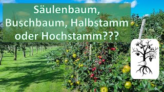 Die 4 Baumformen  Säulenbaum Buschbaum Halbstamm und Hochstamm [upl. by Eidnalem]