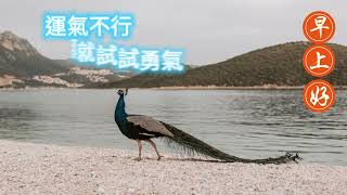 早安 孔雀集 早安祝福早安图片古典笛子曲 Good morning wishes peacock [upl. by Madison]