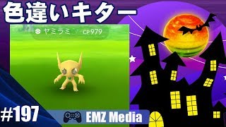 【ポケモンGO】🎃4匹目で色違いヤミラミGET 出現率が高いのか？halloween event Shiny [upl. by Gamages]