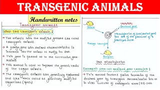 Transgenic animals  How to make  Applications [upl. by August]