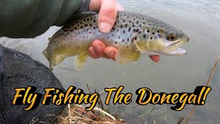 Winter Trout Fishing The Donegal Creek [upl. by Semaj]