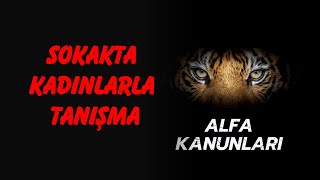 Sokakta kadınlarla tanışma hatunlarla nasıl konuşma başlatılır podcast  Alfa kanunları [upl. by Yram]