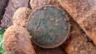 My metal detector finds from Broadclyst near Exeter and Exmouth  My Metal Detecting Finds UK HQ [upl. by Ode]