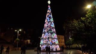 Lighting the Christmas Tree amp Lights on Larios Street Málaga Spain [upl. by Nirat]