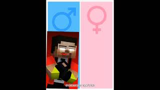 Minecraft Couples  Herobrine brothers And Their wifes  Way back home shorts herobrine minecraft [upl. by Ahsiened471]