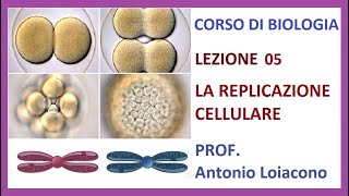 CORSO DI BIOLOGIA  Lezione 05  La Replicazione Cellulare [upl. by Leroy756]