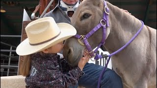 Celebrating the Might Mule at Mule Days [upl. by Lissa]