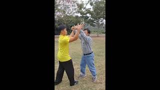 White Crane 白鶴拳  Movement from Three Battles and Basic Partner Work 三戰牽打 [upl. by Atima]