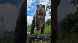 T Rex at West Midlands Safari Park Bewdley shorts dinosaur trex safari park jurassic [upl. by Jurkoic970]