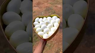 🌀🌀Heart ❤️ முட்ட கத்திரிக்கா😂 [upl. by Ormiston]