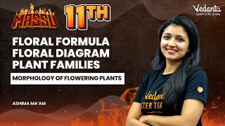 Morphology of flowering plants  Floral Formula  Floral Diagram  Plant Families  Ashima Maam [upl. by Halilak]