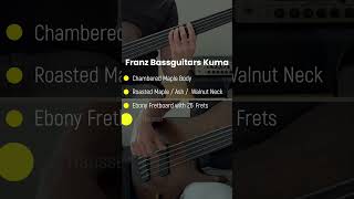 Best Fretless Bass ever Franz Bassguitars Kuma 5 fretless shorts franzbassguitars fretlessbass [upl. by Allevon277]