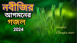 নবীজির আগমনের গজল bangala natgojolgazal বারুই রবিউল আউয়াল ছবি সাদেকের সময় [upl. by Nosittam807]