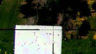 HW100 Shooting flies 45 Meter [upl. by Gerrie]