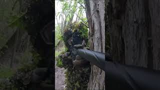 Deep Woods Sniper Shot Airsoft Sniper SHORTS [upl. by Skinner904]