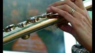 Gemeinhardt 10AS Used Alto Flute  Video Sample [upl. by Cia]