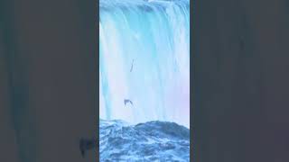 Niagara Falls Canadas most famous natural wonder [upl. by Donelson]