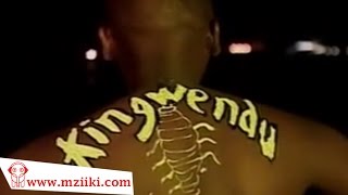 Kingwendu  Mapepe  Official Video [upl. by Naamana]