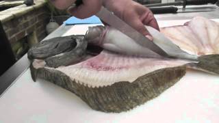 Passionate About Fish  How to Fillet a Wild Turbot [upl. by Michaella]