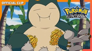 Snorlax Has Eaten Everything  Pokémon Advanced Challenge  Official Clip [upl. by Trellas]