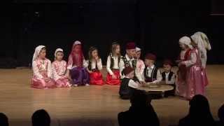 quotRubinquot Eslöv folklor mladji juniori [upl. by Norita572]