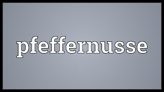 Pfeffernusse Meaning [upl. by Amoritta]