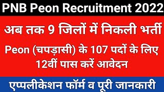 PNB Peon Recruitment 2022  PNB Peon Vacancy 2022  PNB Chapdasi Bharti 2022  PNB Chaprasi Vacancy [upl. by Ornie946]