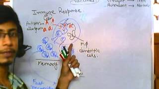 Vaccines part 1  what is vaccination [upl. by Otrebtuc]