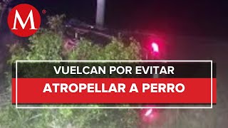 Turistas se accidentan en Yucatán por no atropellar a un perro [upl. by Chance]