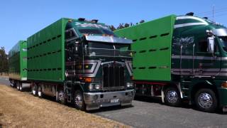 Martinborough Transport 3 Truck Photoshoot [upl. by Vaules835]