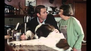 Alles wegen George 1972 Wallace Bennett  Trailer [upl. by Mainis506]