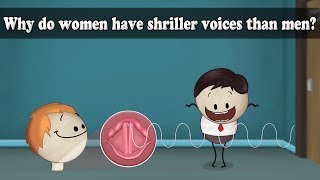 Frequency  Why do women have shriller voices than men  aumsum kids science [upl. by Llevram]