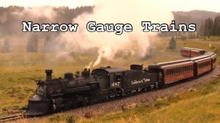 Narrow Gauge Trains [upl. by Einned462]