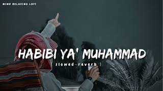 Habibi Ya Muhammad✨ slowed reverb Beautiful Nasheed Naat l Lofi Version l Mind Relaxing Naat [upl. by Anrak532]