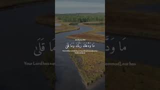 Surah AdDhuhaa  Muhammad Siddiq Al Minshawi Mujawwad [upl. by Rolfston]