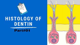 Histology of Dentin  Dentin Pulp Complex Session 4 [upl. by Ramej]