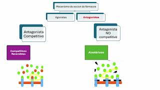 Farmacos Agonistas y Antagonistas [upl. by Mackey450]