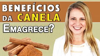 Benefícios da Canela  Para Que Serve Emagrece E o Chá DICAS [upl. by Ecyla]