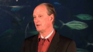 Dr Robert Ballard Talks About Planet Ocean [upl. by Drandell]