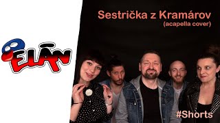 Sestrička z Kramárov acapella cover Shorts [upl. by Ateuqal777]